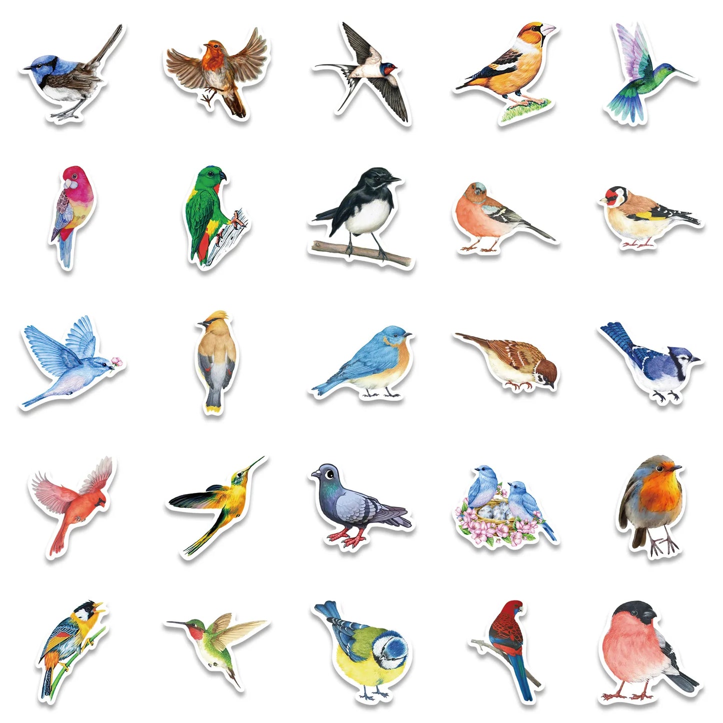 🕊️🐦 50-pack Fågelfest – Vattentåliga Vinylstickers i Fjäderfina Färger