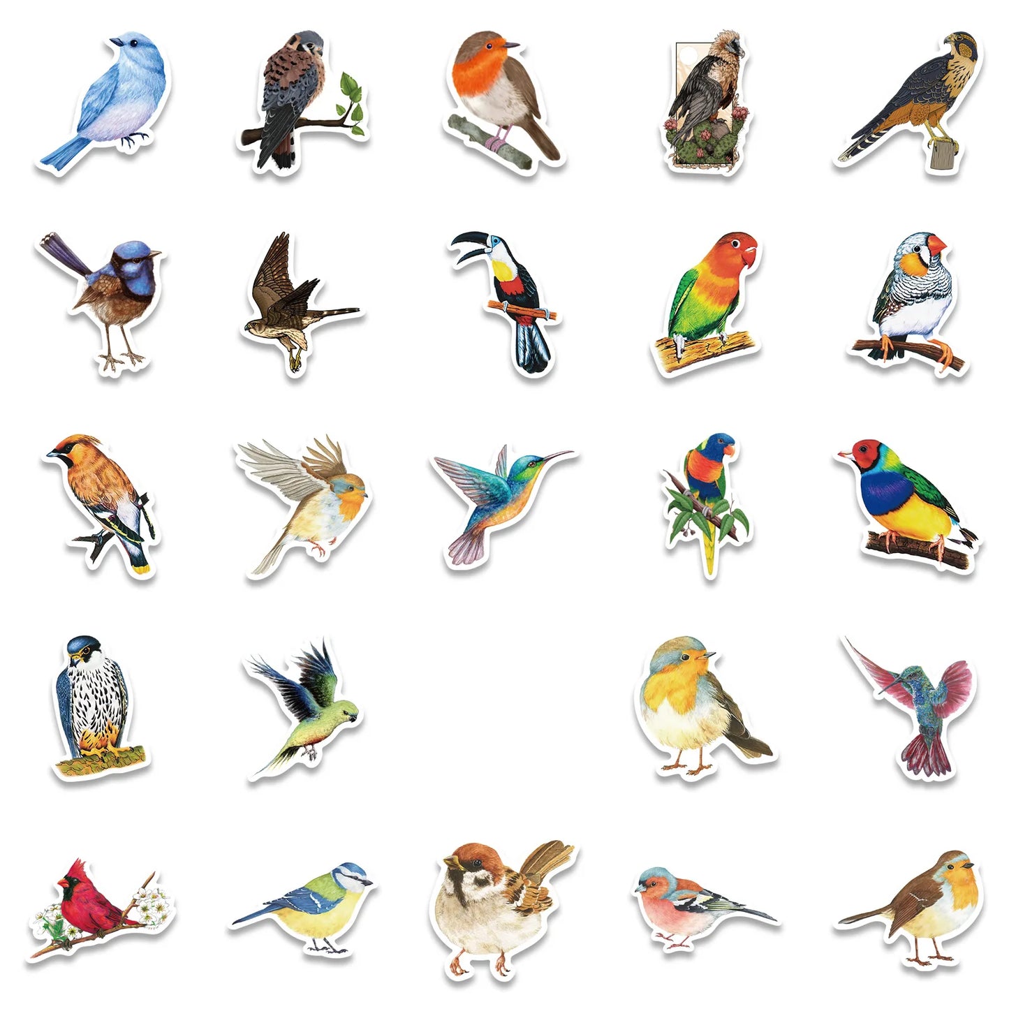 🕊️🐦 50-pack Fågelfest – Vattentåliga Vinylstickers i Fjäderfina Färger