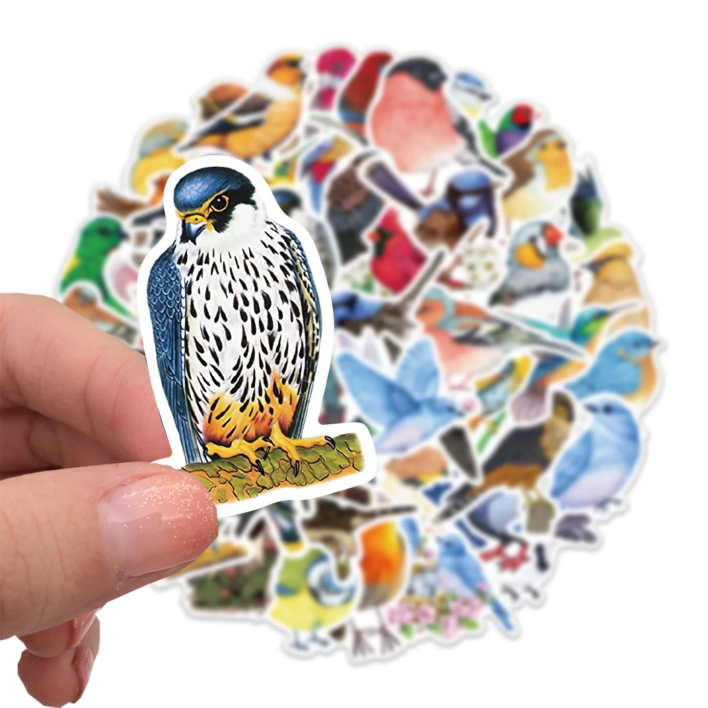 🕊️🐦 50-pack Fågelfest – Vattentåliga Vinylstickers i Fjäderfina Färger