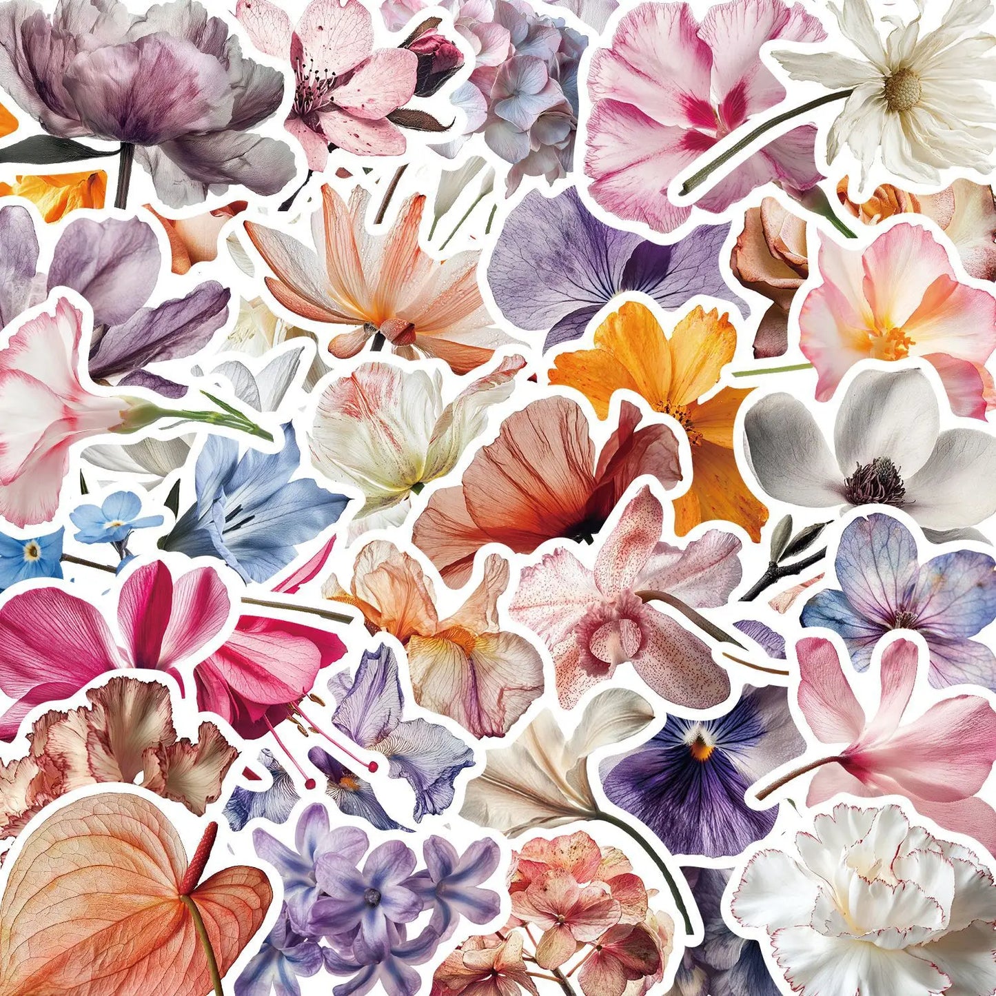 🌸 Herbarium To-Go – 50-pack Botaniska Blomster i Vattentålig Vinyl