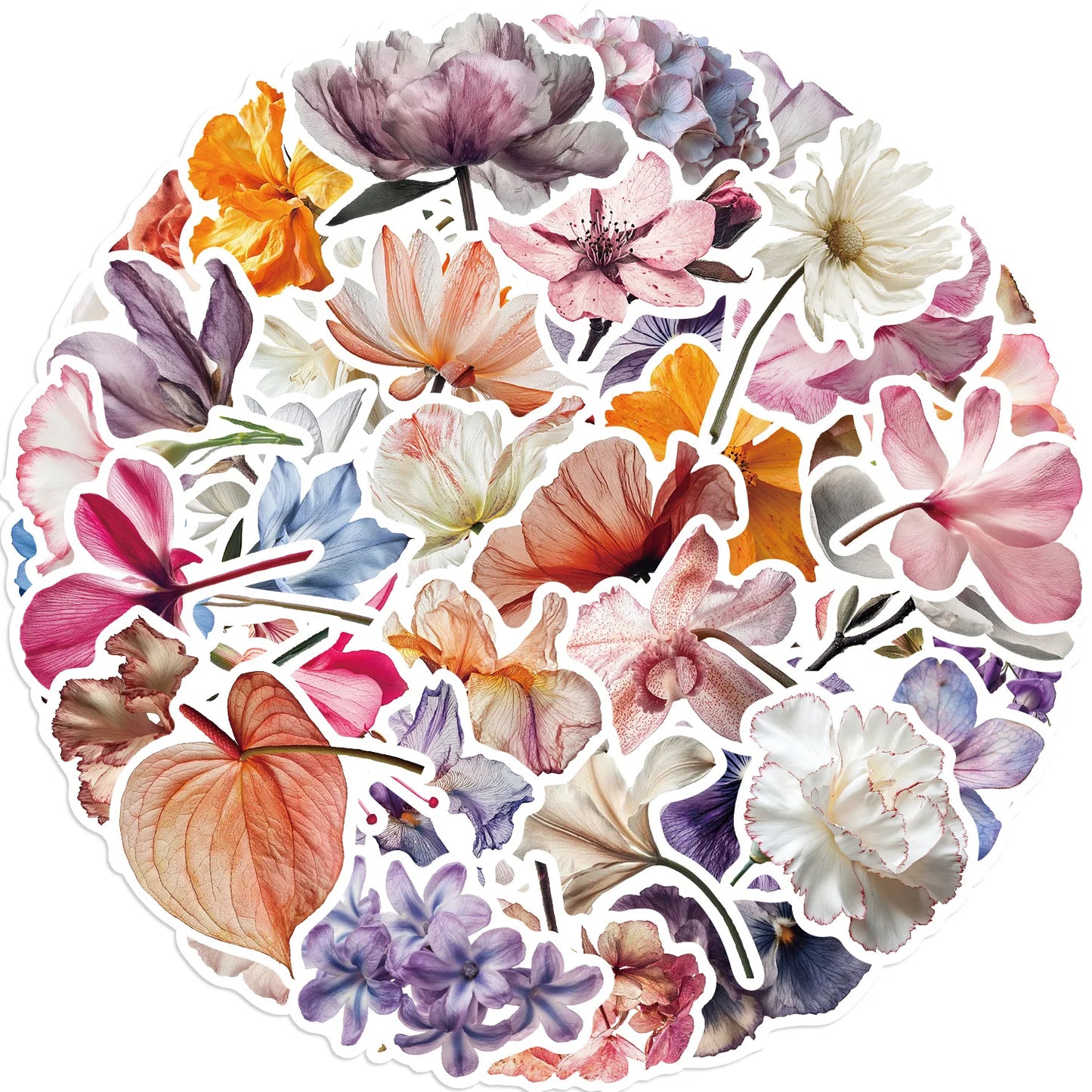 🌸 Herbarium To-Go – 50-pack Botaniska Blomster i Vattentålig Vinyl