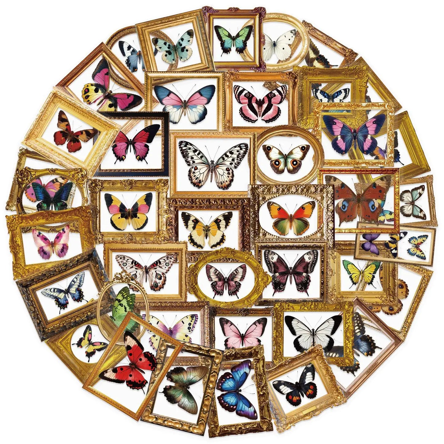 🦋🏛️ 52-pack Fjärilsgalleri – Vintage Ramar & Vackra Vingslag i Vattentålig Vinyl