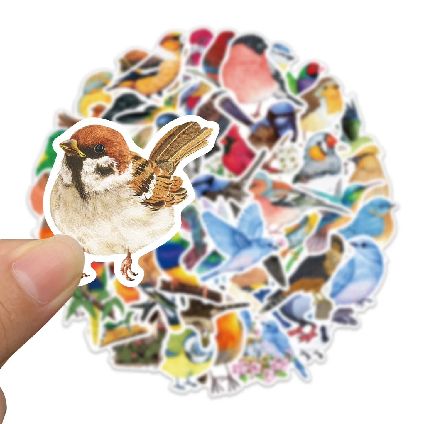 🕊️🐦 50-pack Fågelfest – Vattentåliga Vinylstickers i Fjäderfina Färger