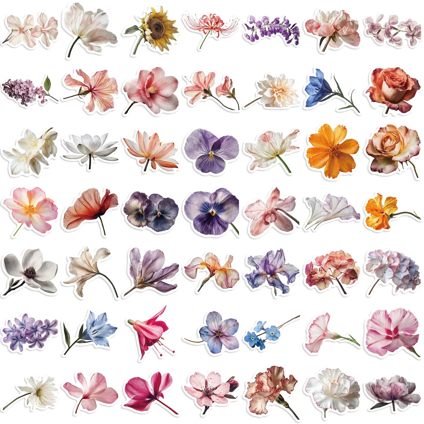 🌸 Herbarium To-Go – 50-pack Botaniska Blomster i Vattentålig Vinyl