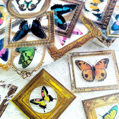 🦋🏛️ 52-pack Fjärilsgalleri – Vintage Ramar & Vackra Vingslag i Vattentålig Vinyl