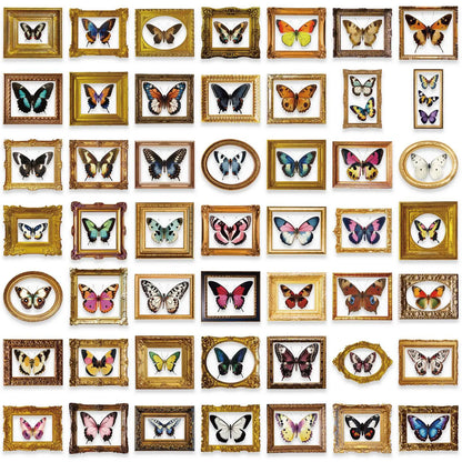 🦋🏛️ 52-pack Fjärilsgalleri – Vintage Ramar & Vackra Vingslag i Vattentålig Vinyl