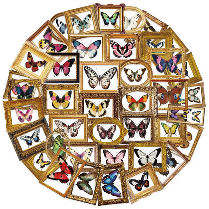 🦋🏛️ 52-pack Fjärilsgalleri – Vintage Ramar & Vackra Vingslag i Vattentålig Vinyl