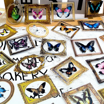 🦋🏛️ 52-pack Fjärilsgalleri – Vintage Ramar & Vackra Vingslag i Vattentålig Vinyl